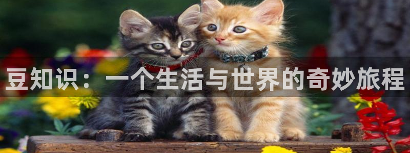 趣书网cc宝书网页：豆知识：一个生活与世界的奇妙旅程