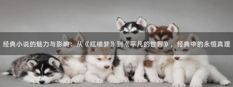 笔趣书阁原版app：经典小说的魅力与影响：从《红楼梦》到《平凡的世界》，经典中的永恒真理