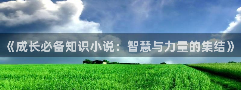 笔趣书阁免费下载：《成长必备知识小说：智慧与力量的集结》