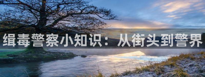 笔趣书阁网：缉毒警察小知识：从街头到警界