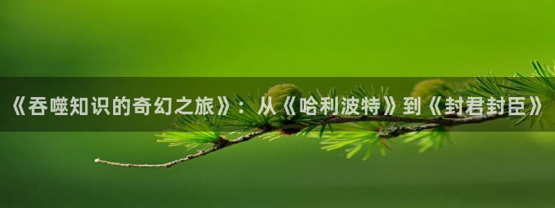 笔趣书阁免费小说大全：《吞噬知识的奇幻之旅》：从《哈利波特》到《封君封臣》