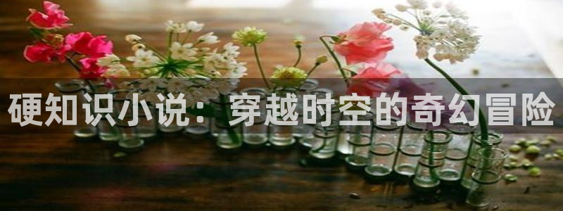笔趣书阁旧版本下载：硬知识小说：穿越时空的奇幻冒险