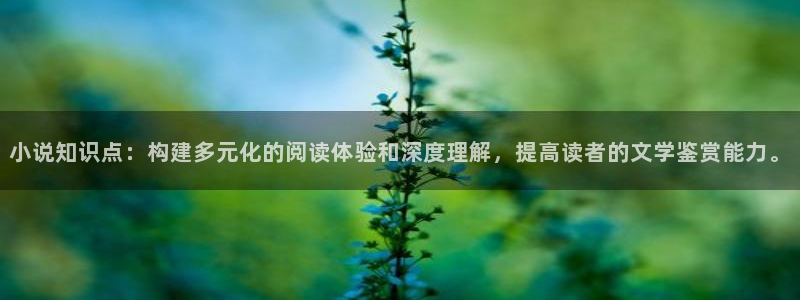 大叔你好大江流小说免费阅读趣书网：小说知识点：构建多元化的阅读体验和深度理解，提高读者的文学鉴赏能力。