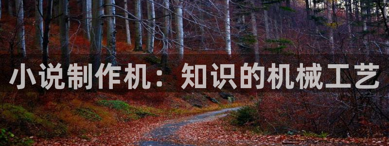 笔趣书阁小说阅读：小说制作机：知识的机械工艺