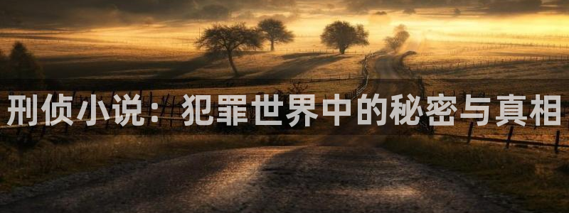 笔趣书阁老版本下载：刑侦小说：犯罪世界中的秘密与真相