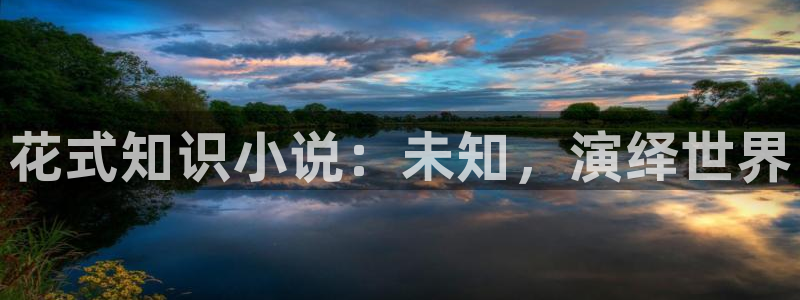 笔趣书阁免费版最新版：花式知识小说：未知，演绎世界