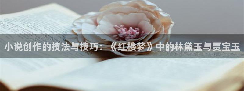笔趣书阁免费网小说：小说创作的技法与技巧：《红楼梦》中的林黛玉与贾宝玉