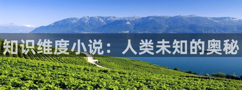 笔趣书阁小说免费：知识维度小说：人类未知的奥秘