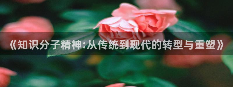 下载笔趣书阁小说：《知识分子精神:从传统到现代的转型与重塑》
