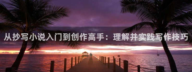 趣书网txt手机下载网站：从抄写小说入门到创作高手：理解并实践写作技巧