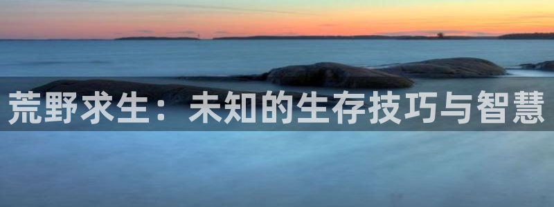 高度契合txt趣书网：荒野求生：未知的生存技巧与智慧