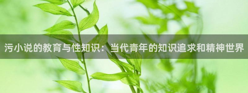 斗破苍穹小说笔趣书阁：污小说的教育与性知识：当代青年的知识追求和精神世界