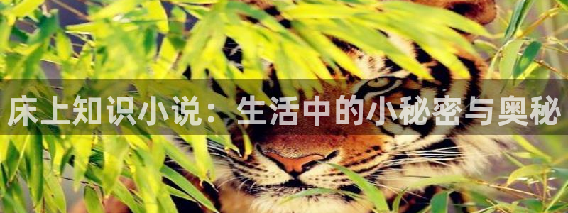 笔趣书阁软件下载：床上知识小说：生活中的小秘密与奥秘