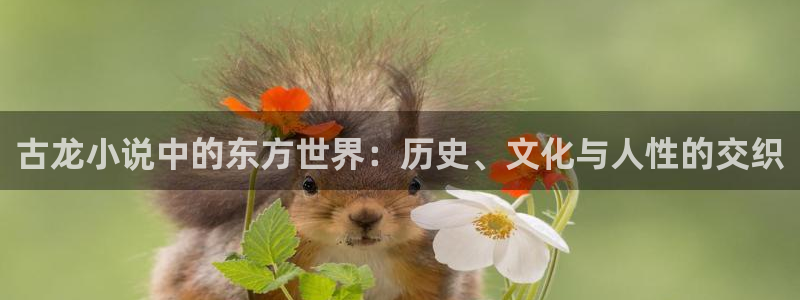 趣书网宝书网当书网：古龙小说中的东方世界：历史、文化与人性的交织