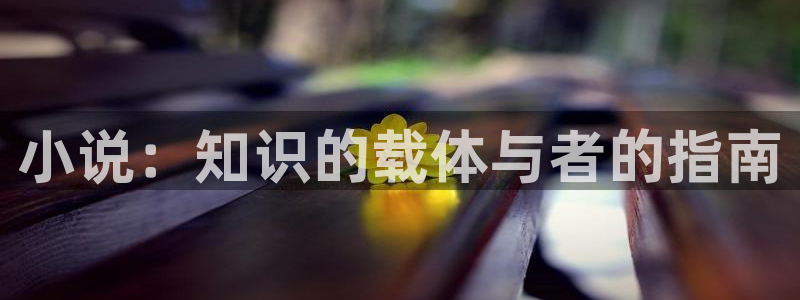 m.qubook 趣书：小说：知识的载体与者的指南
