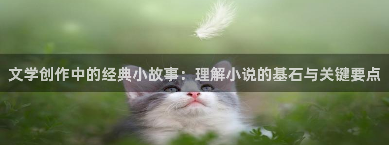笔趣书下载：文学创作中的经典小故事：理解小说的基石与关键要点