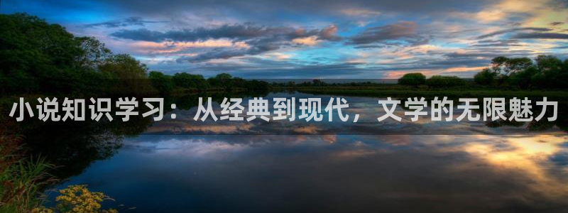 笔趣书阁app：小说知识学习：从经典到现代，文学的无限魅力