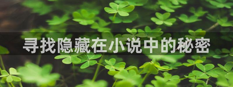 笔趣书阁app：寻找隐藏在小说中的秘密