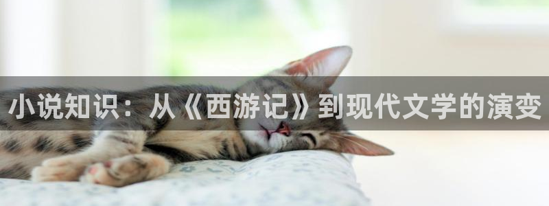 趣书网：小说知识：从《西游记》到现代文学的演变