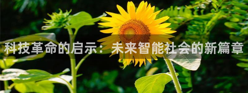 沉欢sun1998郁晟儒趣书：科技革命的启示：未来智能社会的新篇章