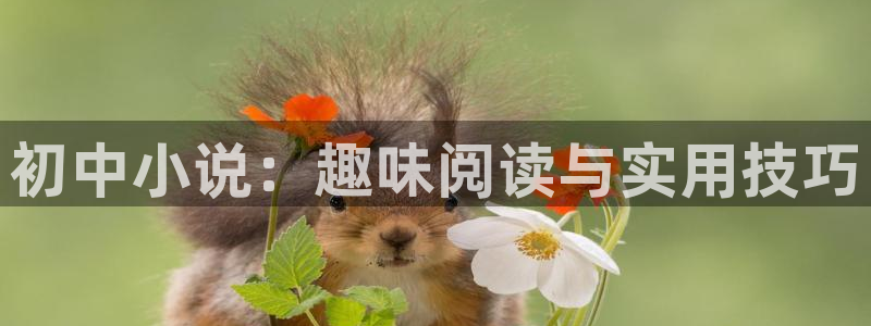 笔趣书阁网：初中小说：趣味阅读与实用技巧
