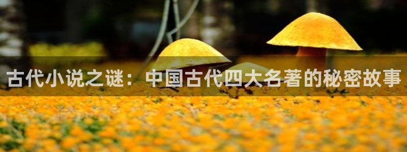 笔趣书阁免费小说：古代小说之谜：中国古代四大名著的秘密故事