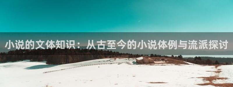 类似趣书网的网站有哪些：小说的文体知识：从古至今的小说体例与流派探讨