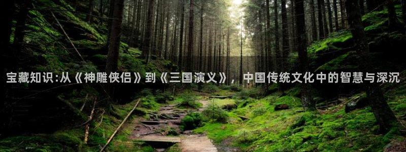 类似趣书网的网站有哪些：宝藏知识:从《神雕侠侣》到《三国演义》，中国传统文化中的智慧与深沉
