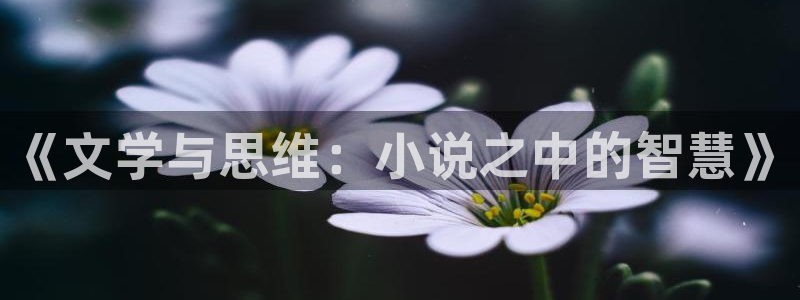 笔趣书阁旧版本下载：《文学与思维：小说之中的智慧》