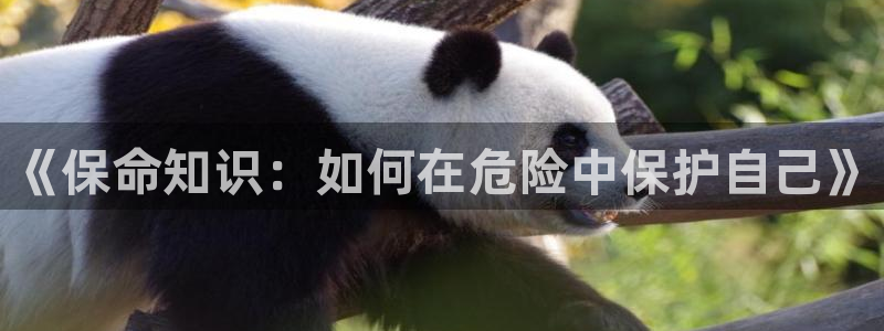 高度契合txt趣书网：《保命知识：如何在危险中保护自己》