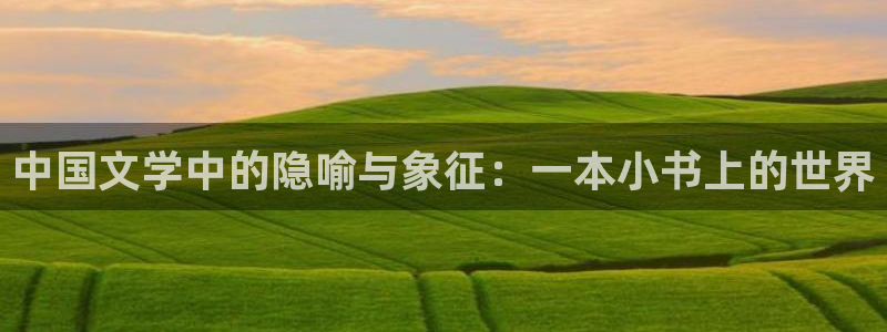 笔趣书阁免费小说大全：中国文学中的隐喻与象征：一本小书上的世界